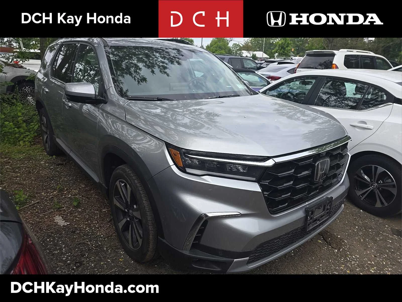 2023 Honda Pilot Elite AWD's photo