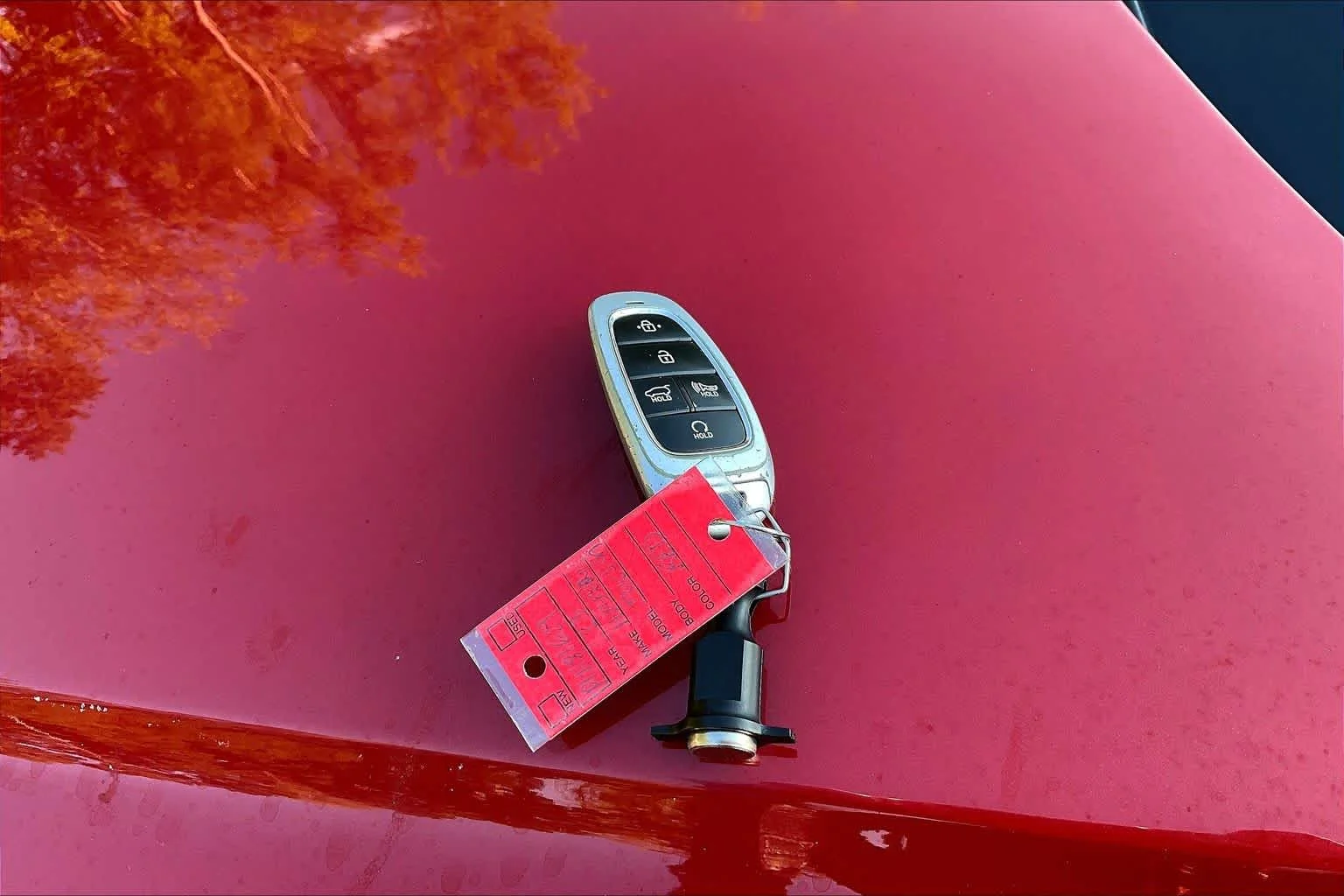 Used 2023 Calypso Red Hyundai SEL image 15