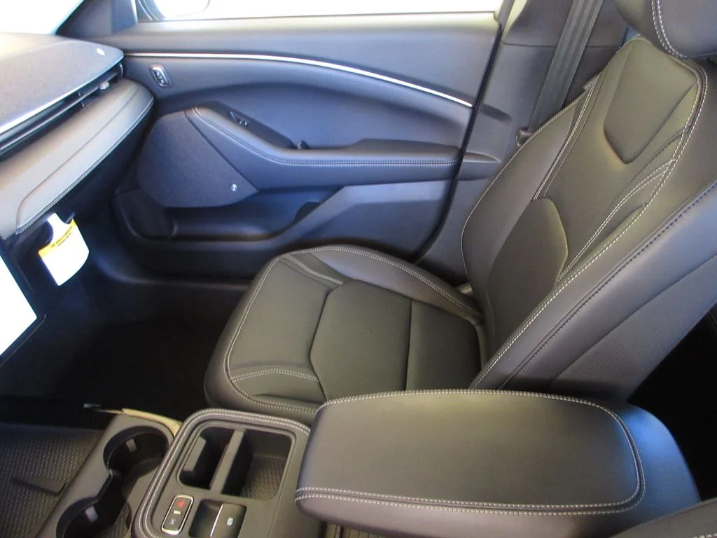 New 2026 Shadow Black Ford Premium image 21