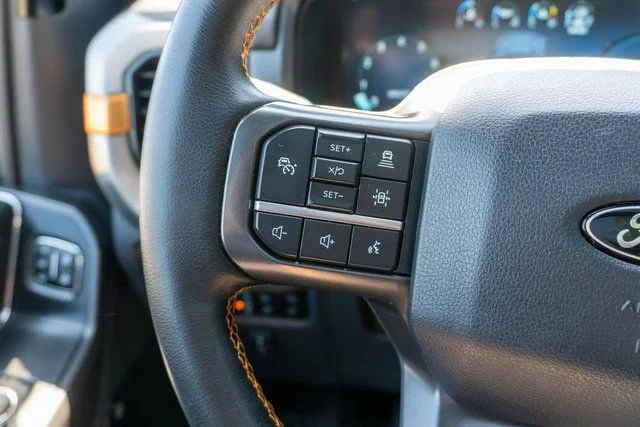 Used 2025 Gray Ford Tremor image 27