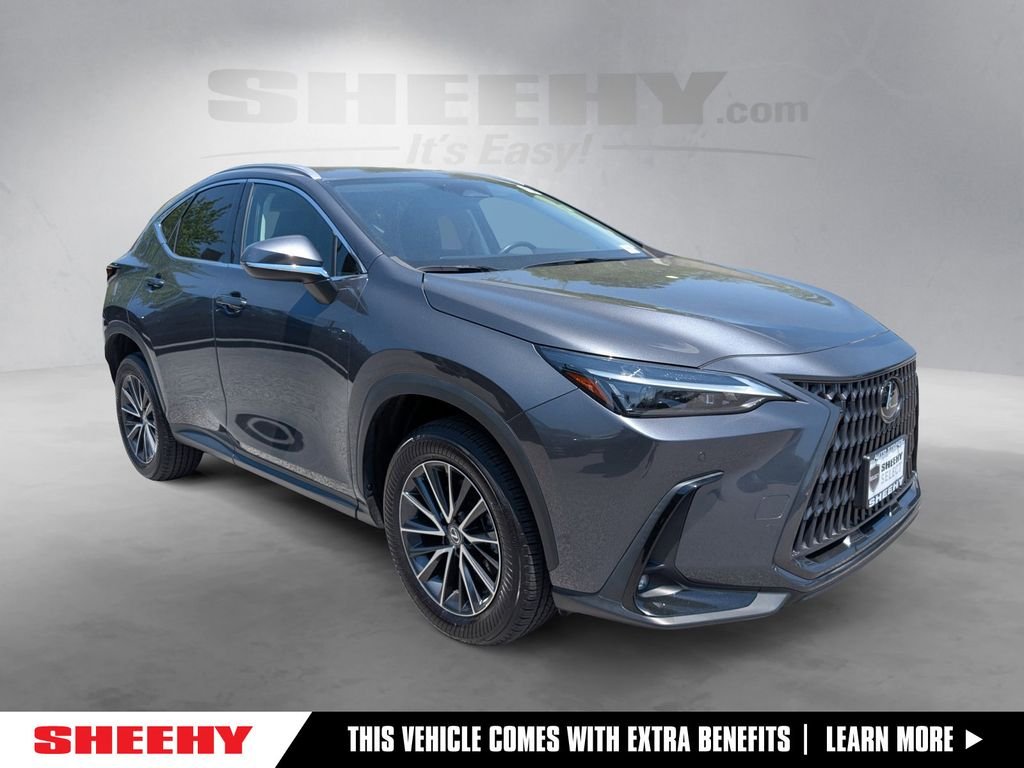 2024 Lexus NX 350 350 Premium AWD's photo