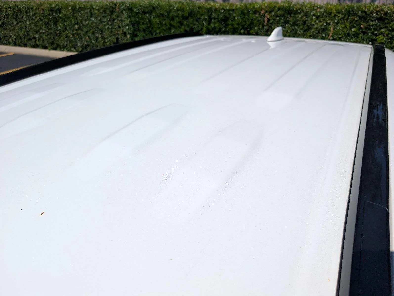 Used 2019 Super White Toyota LE image 13