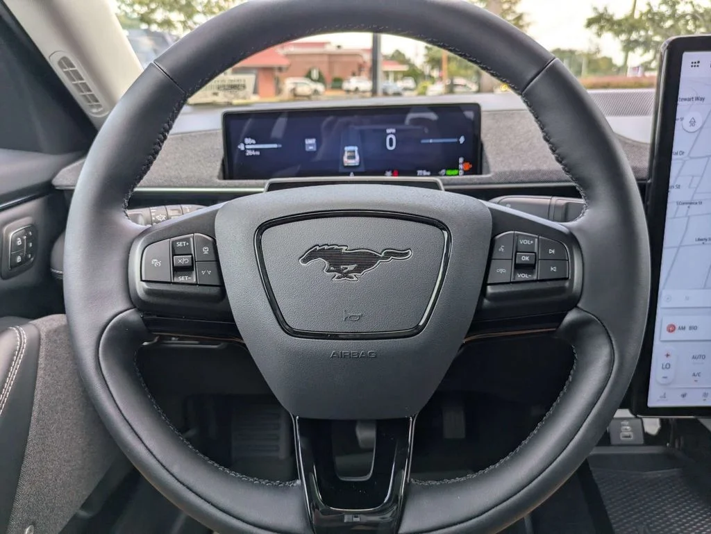 New 2026 Shadow Black Ford Premium image 29