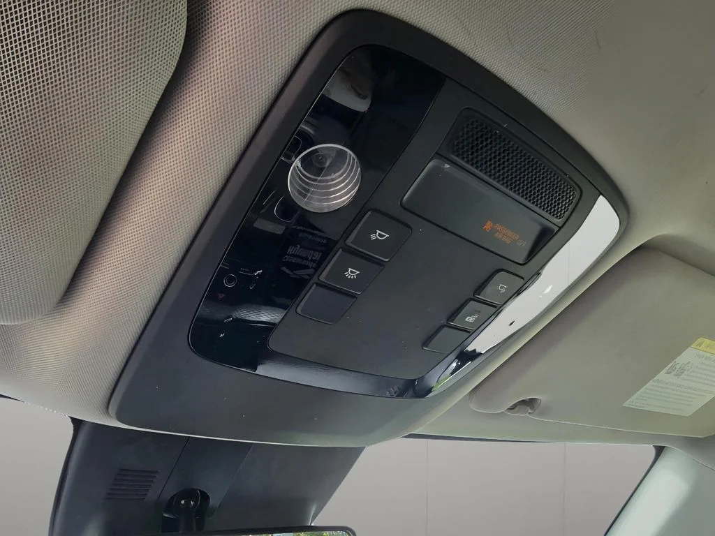 Used 2022 Pantera Metal Kia LX image 18