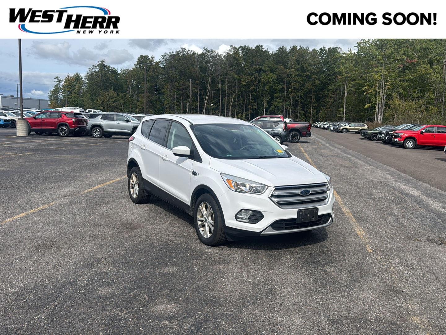 Used 2019 Oxford White Ford SE image 1