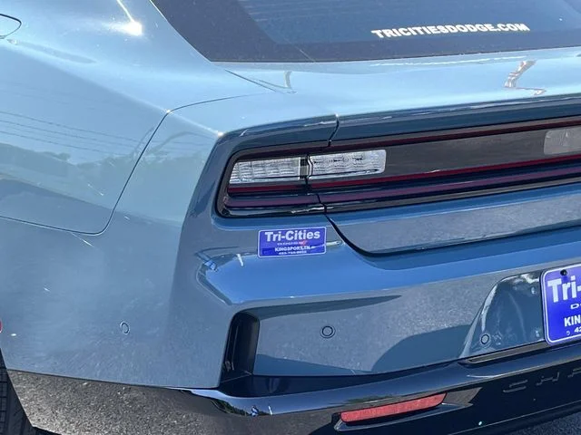 New 2026 Sub-Zero Exterior Paint Dodge R/T image 5