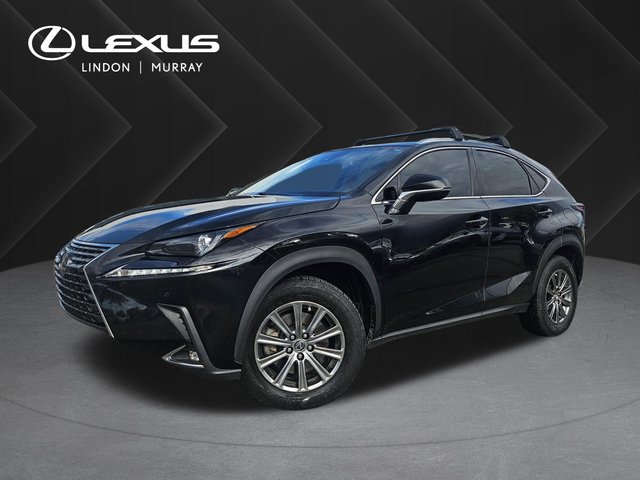 2019 Lexus NX 300
