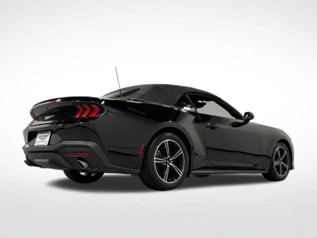 Used 2024 Black Ford EcoBoost Premium image 11