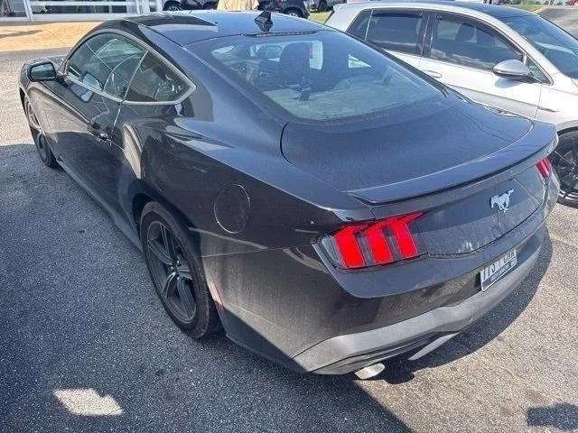 Used 2024 Black Ford EcoBoost Premium image 10