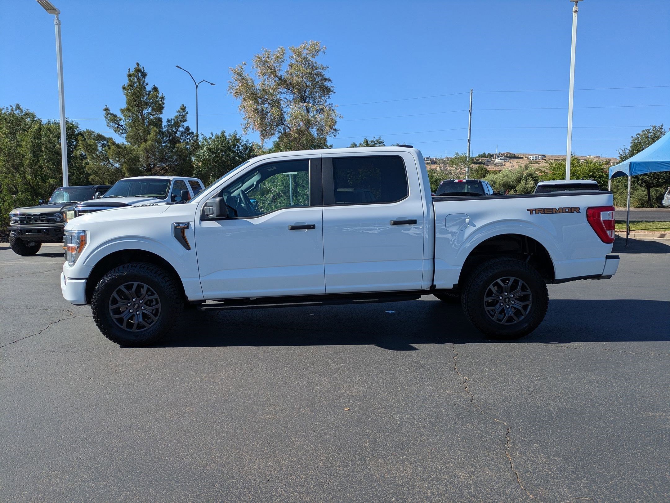 2022 Ford F-150 Tremor - Photo 6