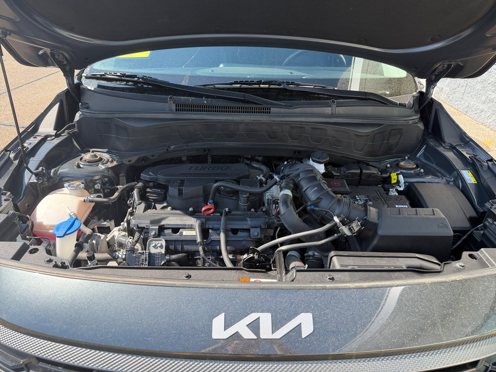 Certified Used 2024 Gravity Gray Kia X-Line image 6
