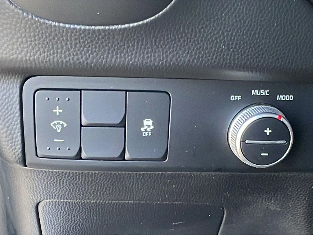 Used 2017 Silver Kia Plus image 19