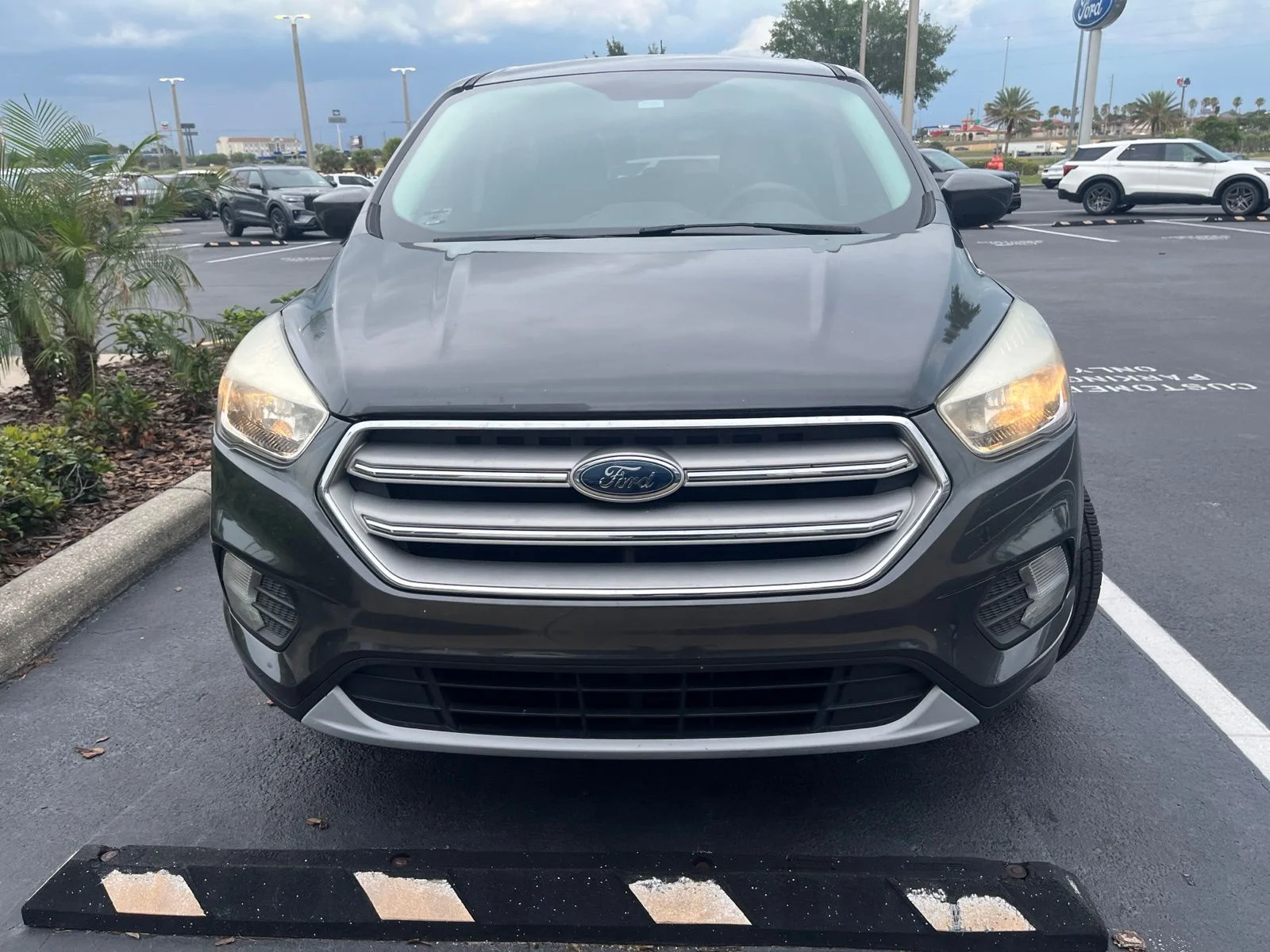 Certified Used 2019 Gray Ford SE image 3