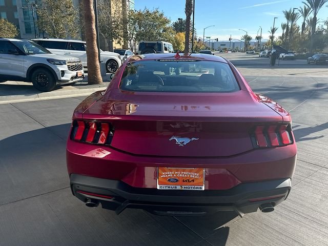 New 2026 Molten Magenta Metallic Tinted Clearcoat Ford EcoBoost image 6