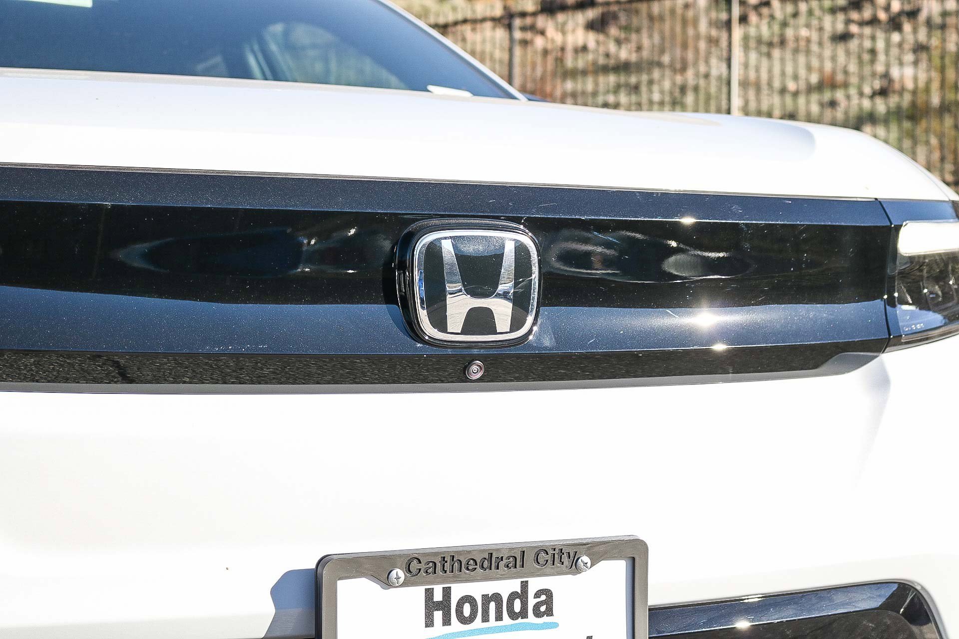 New 2026 Frostline White Pearl Honda Elite image 8