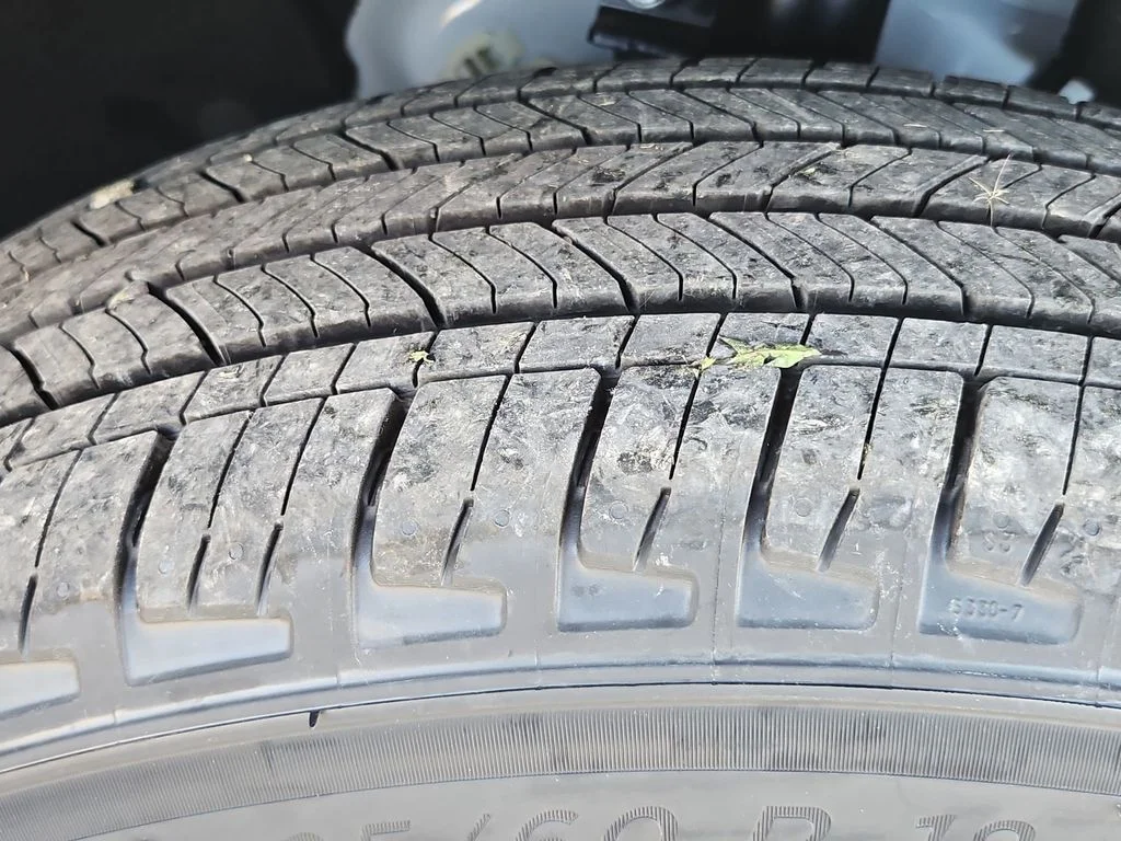 View 54