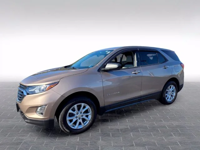 Used 2019 Beige Chevrolet LS image 3