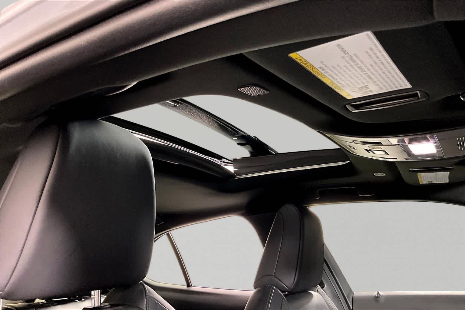 Used 2025 Iridium Lexus Premium image 13