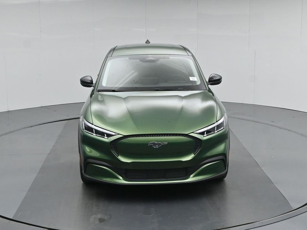 New 2026 Eruption Green Metallic Ford Select image 35