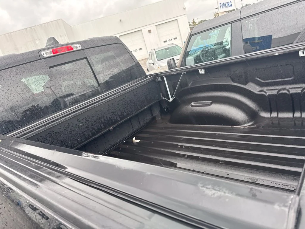 Used 2020 Black Ram Rebel image 2