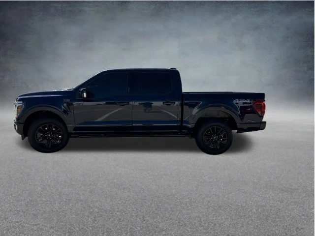 Used 2024 Blue Ford Platinum image 7