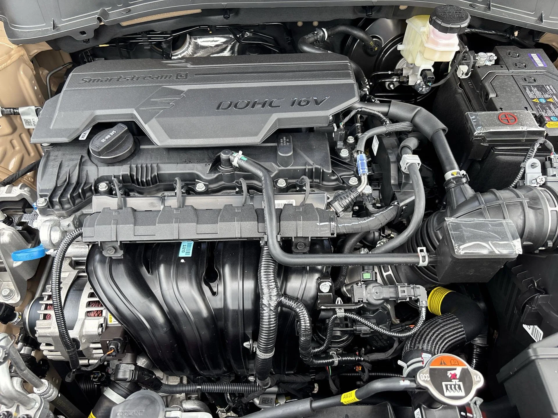 New 2027 Terrain Brown / Black Roof Kia X-Line S image 10