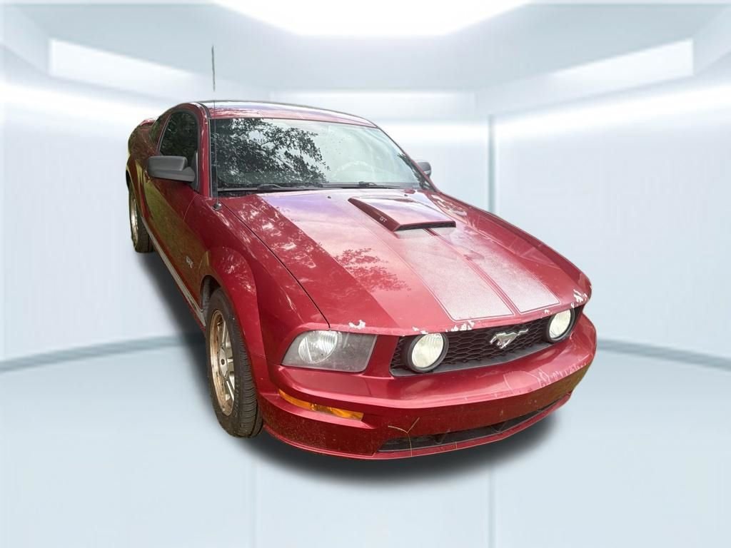 Used 2006  Ford GT Deluxe image 11