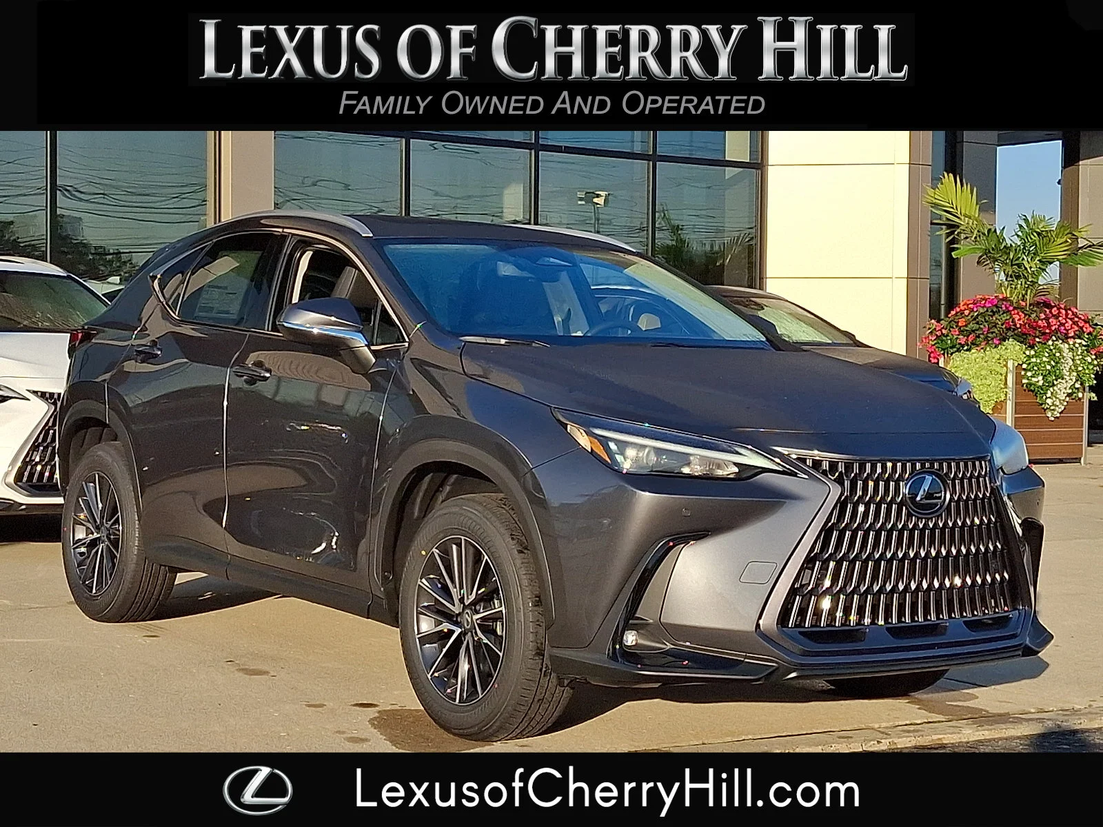 2026 Lexus NX