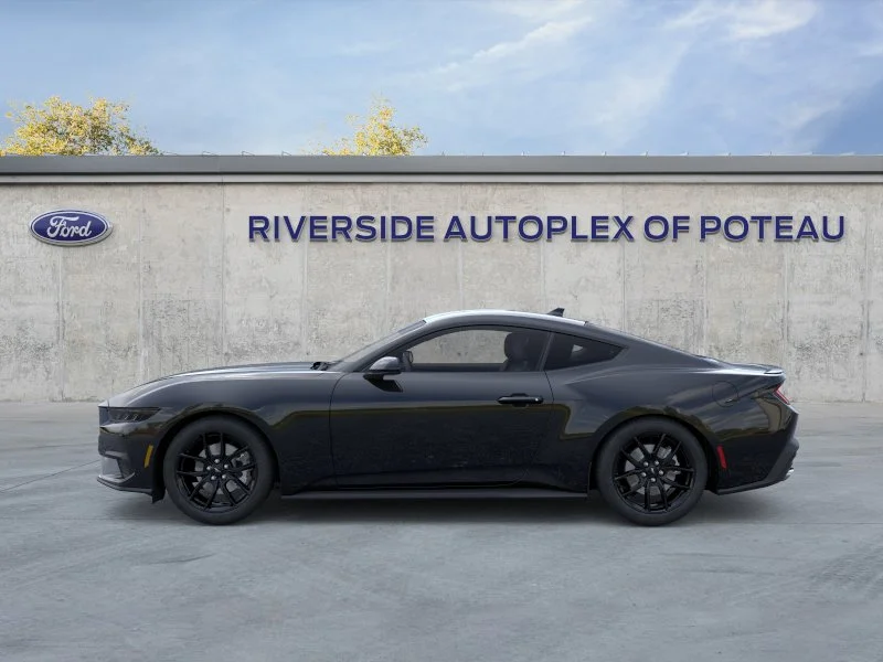 New 2026 Shadow Black Ford EcoBoost® Fastback image 52