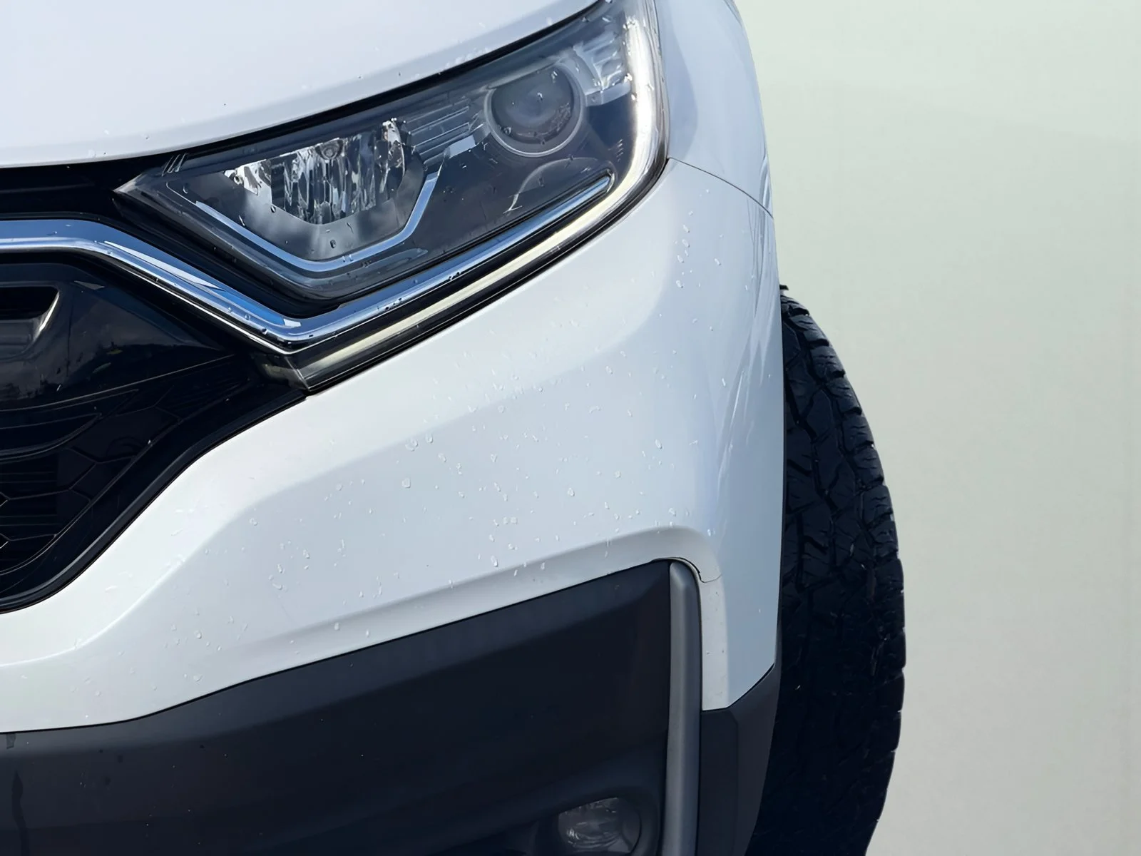 Used 2022  Honda EX-L image 5