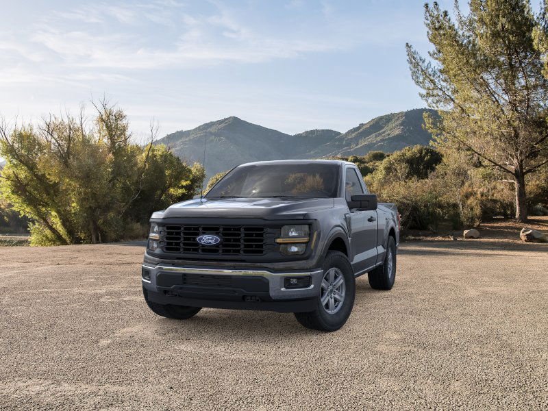 2025 Ford F-150 XL - Photo 24