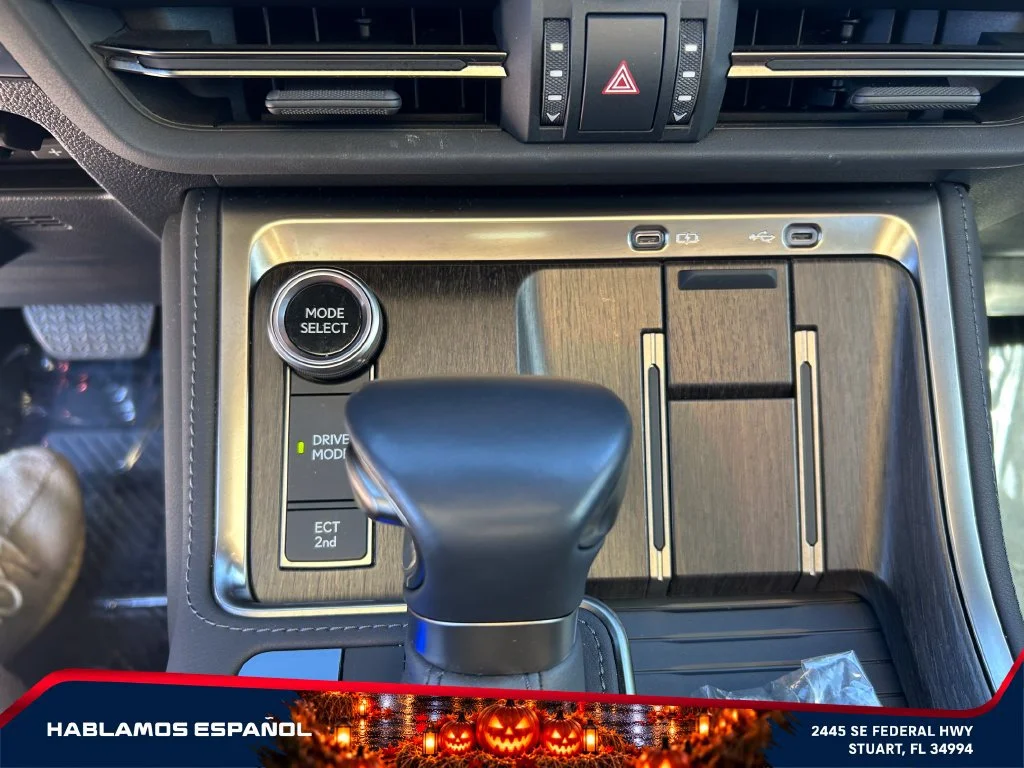 Used 2025 Gray Lexus Luxury+ image 27