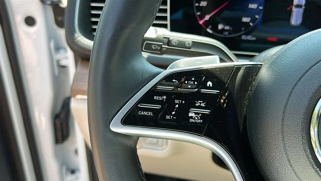 2025 Mercedes-Benz GLS Base - Photo 12