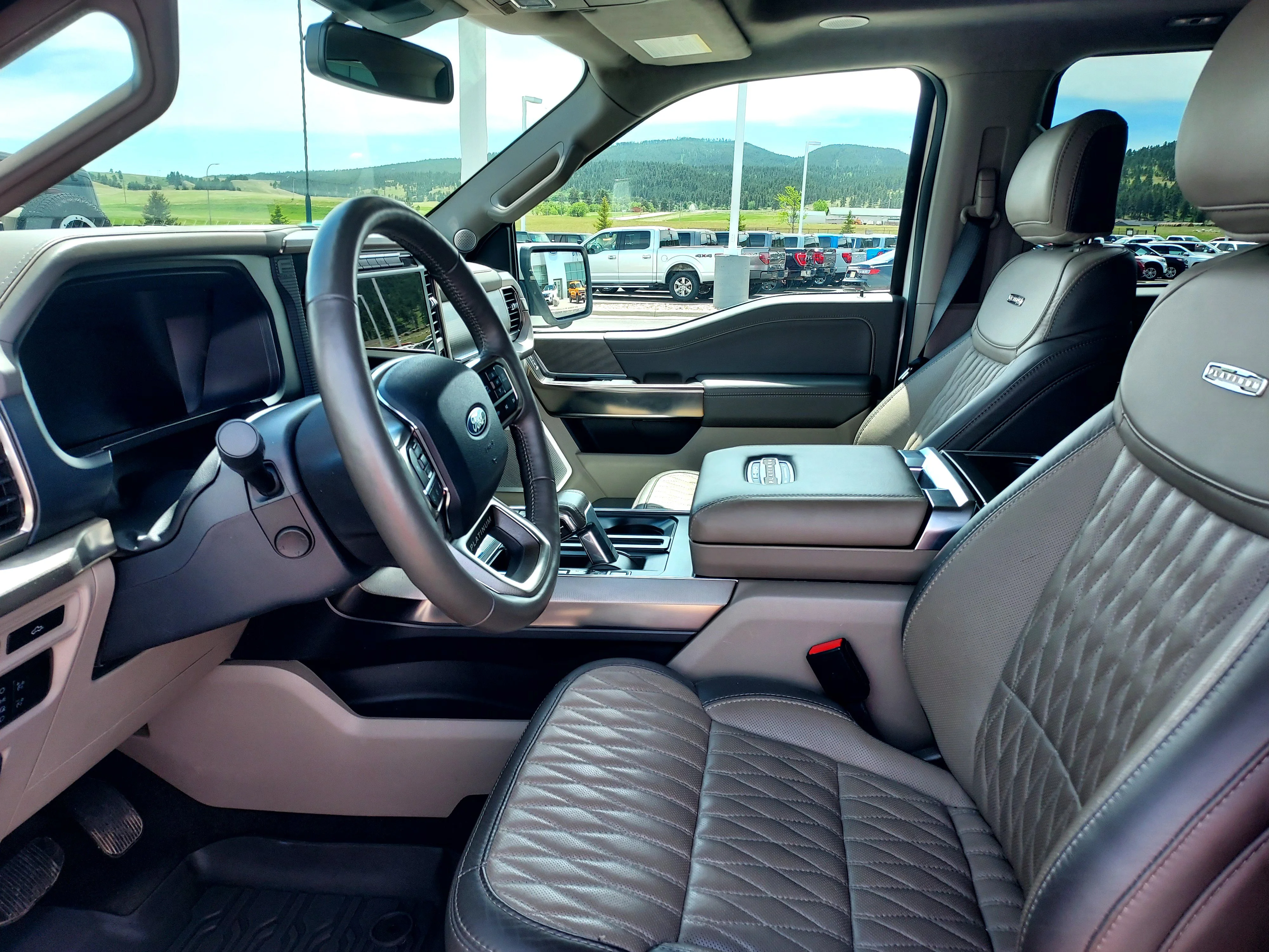 Used 2024 White Ford Platinum image 14