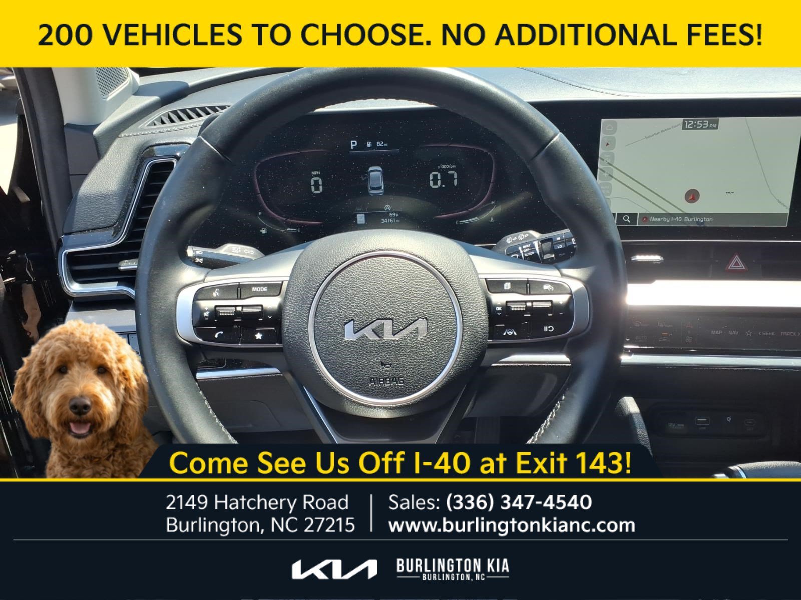 Certified Used 2024 Ebony Black Kia EX image 20