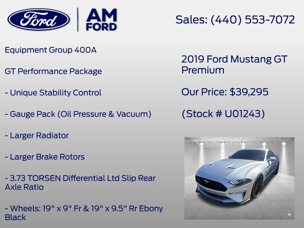 Used 2019 Ingot Silver Ford GT Premium image 8