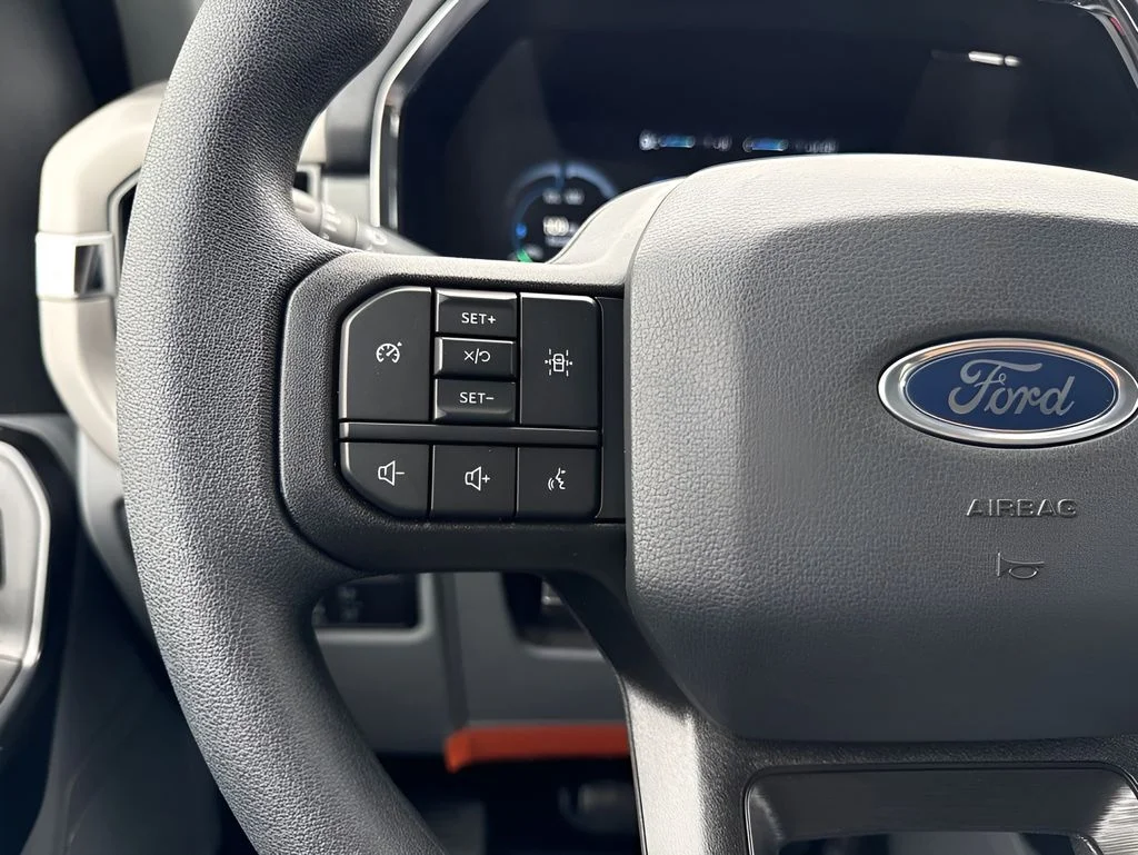 Used 2022 White Ford Pro image 13