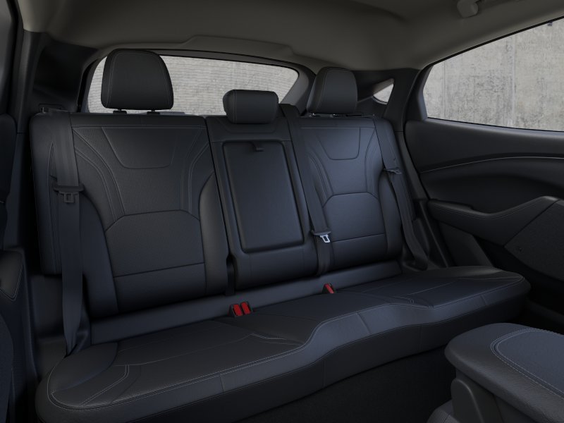 New 2026 Shadow Black Ford Premium image 11