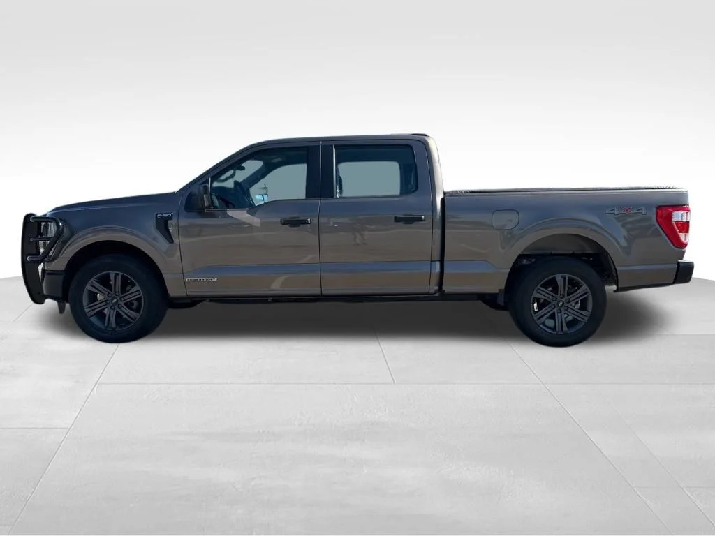 Used 2023 Ford F-150 XL with VIN 1FTFW1ED1PFA89871 for sale in Lake City, Minnesota