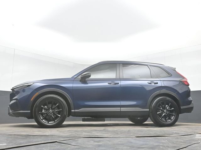 Used 2026 Blue Honda Sport-L image 45