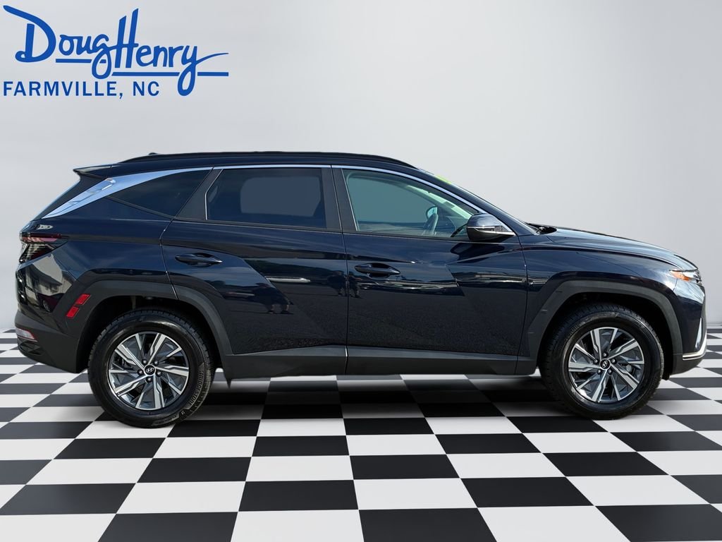 Used 2023 Blue Hyundai Blue image 6