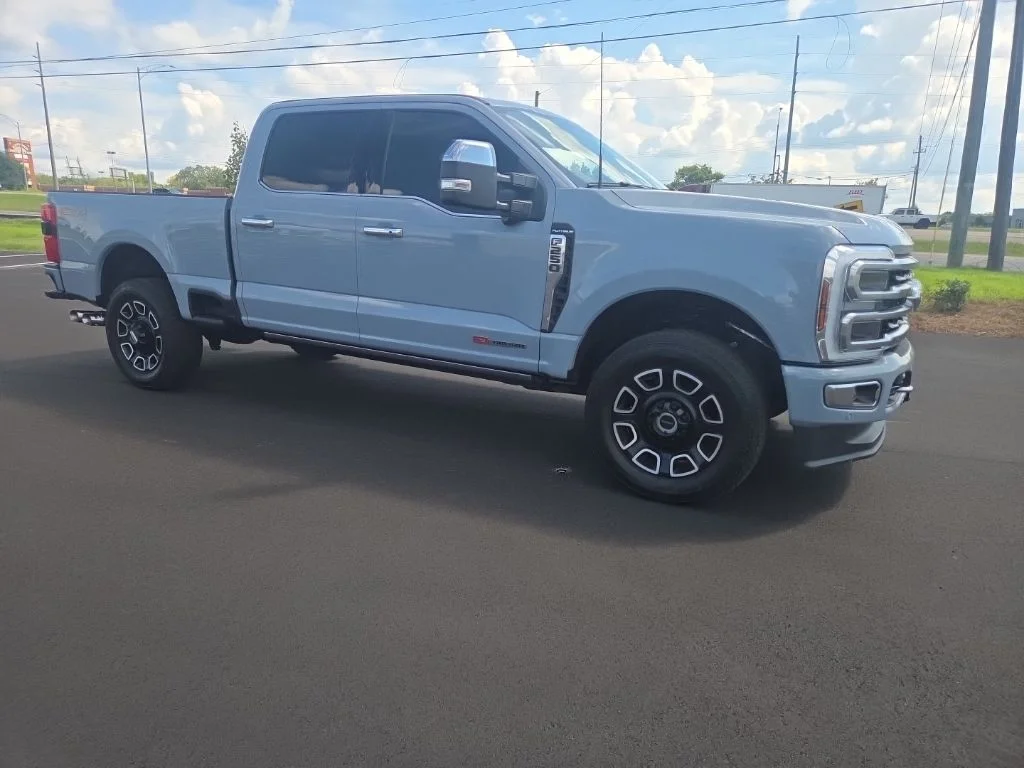 Used 2024 Gray Ford Platinum image 21