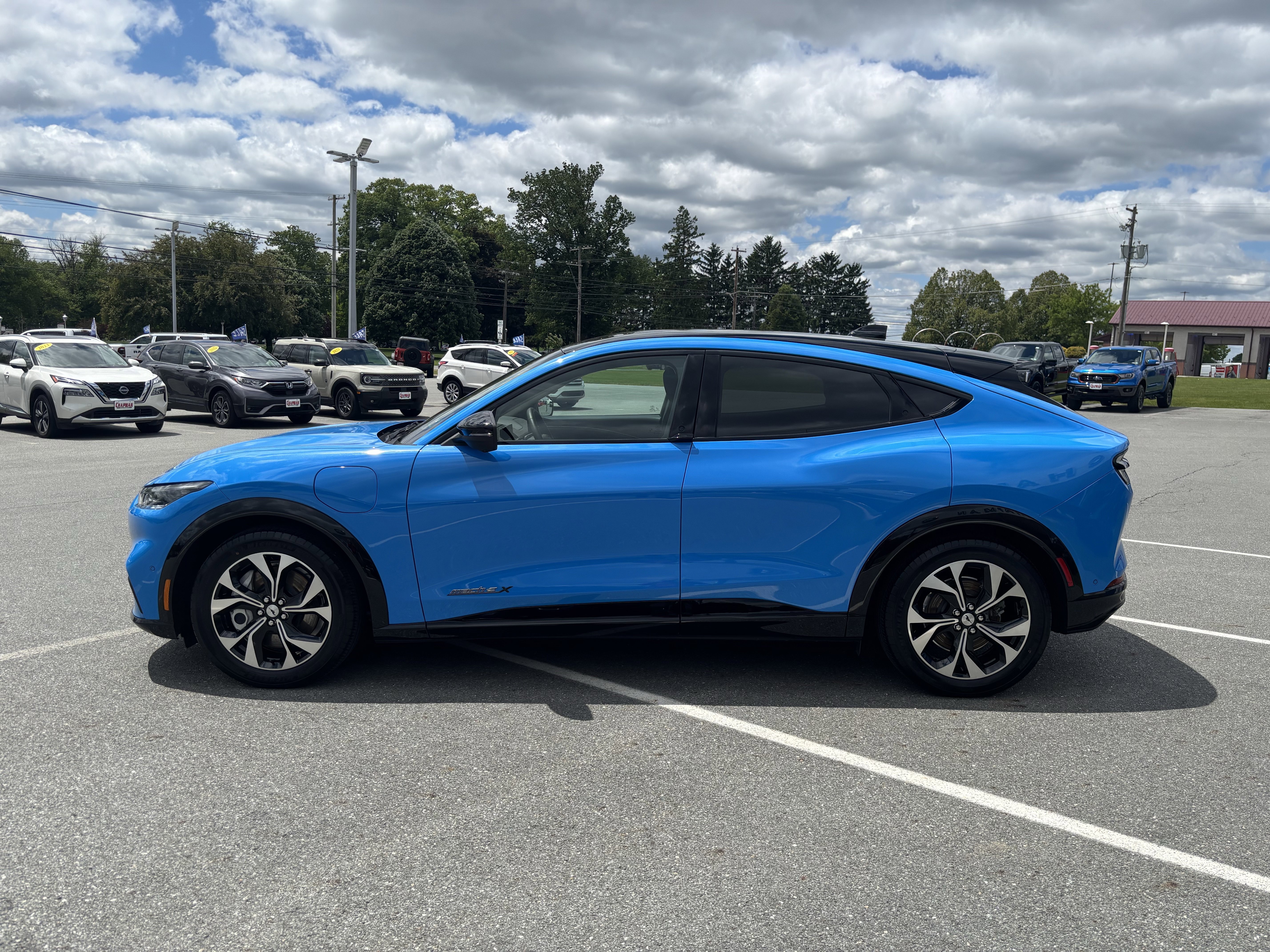 Used 2023 Blue Ford Premium image 4