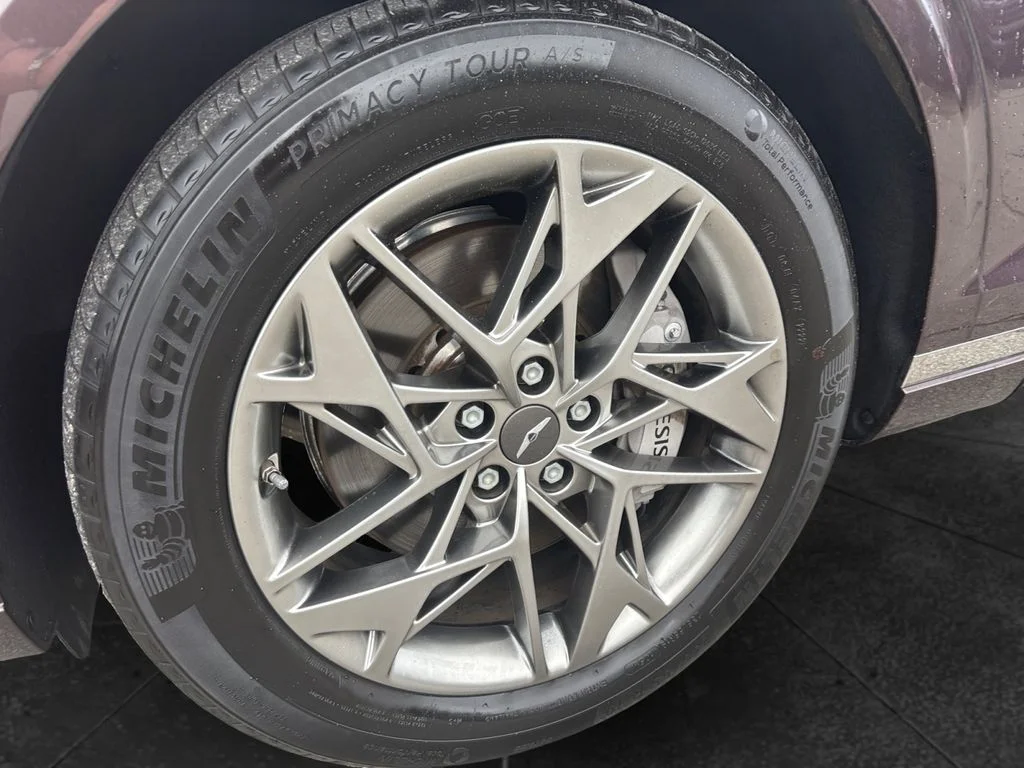 Used 2023 Red Genesis 2.5T image 9
