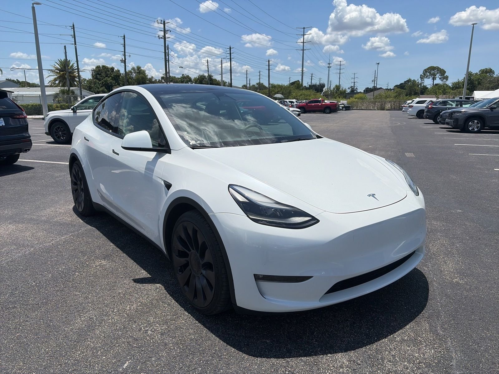 2023 Tesla Model Y Performance Dual Motor All-Wheel Drive's photo