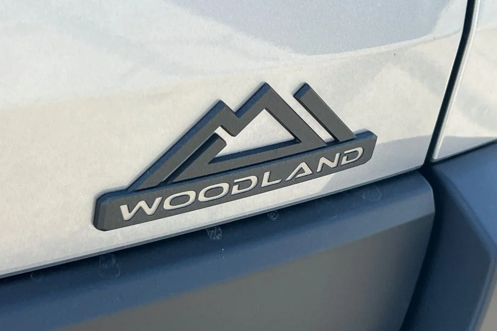 New 2026 Steel Toyota bZ Woodland image 26
