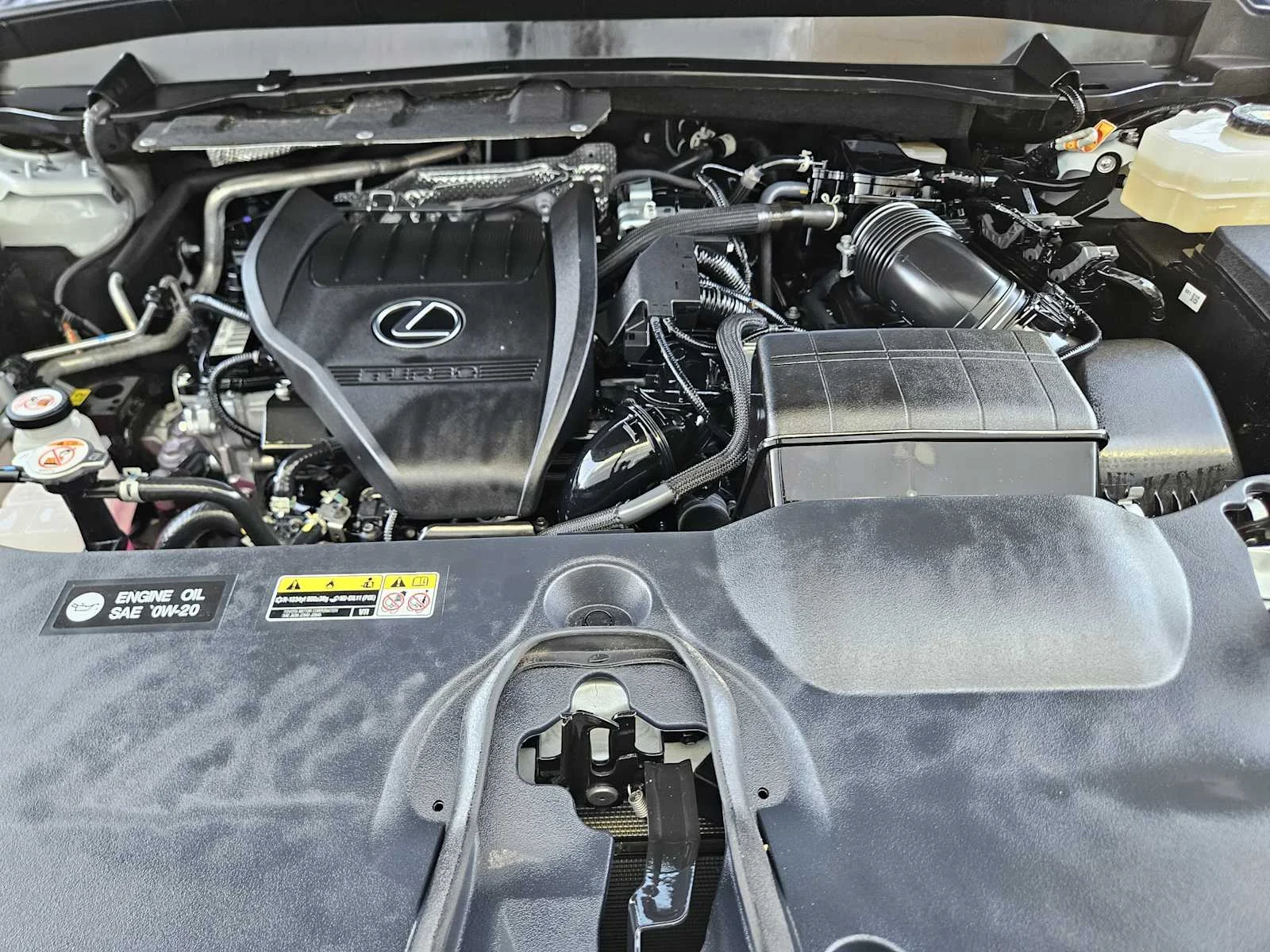 Certified Used 2025 WIND CHILL PEARL Lexus F SPORT Premium image 22