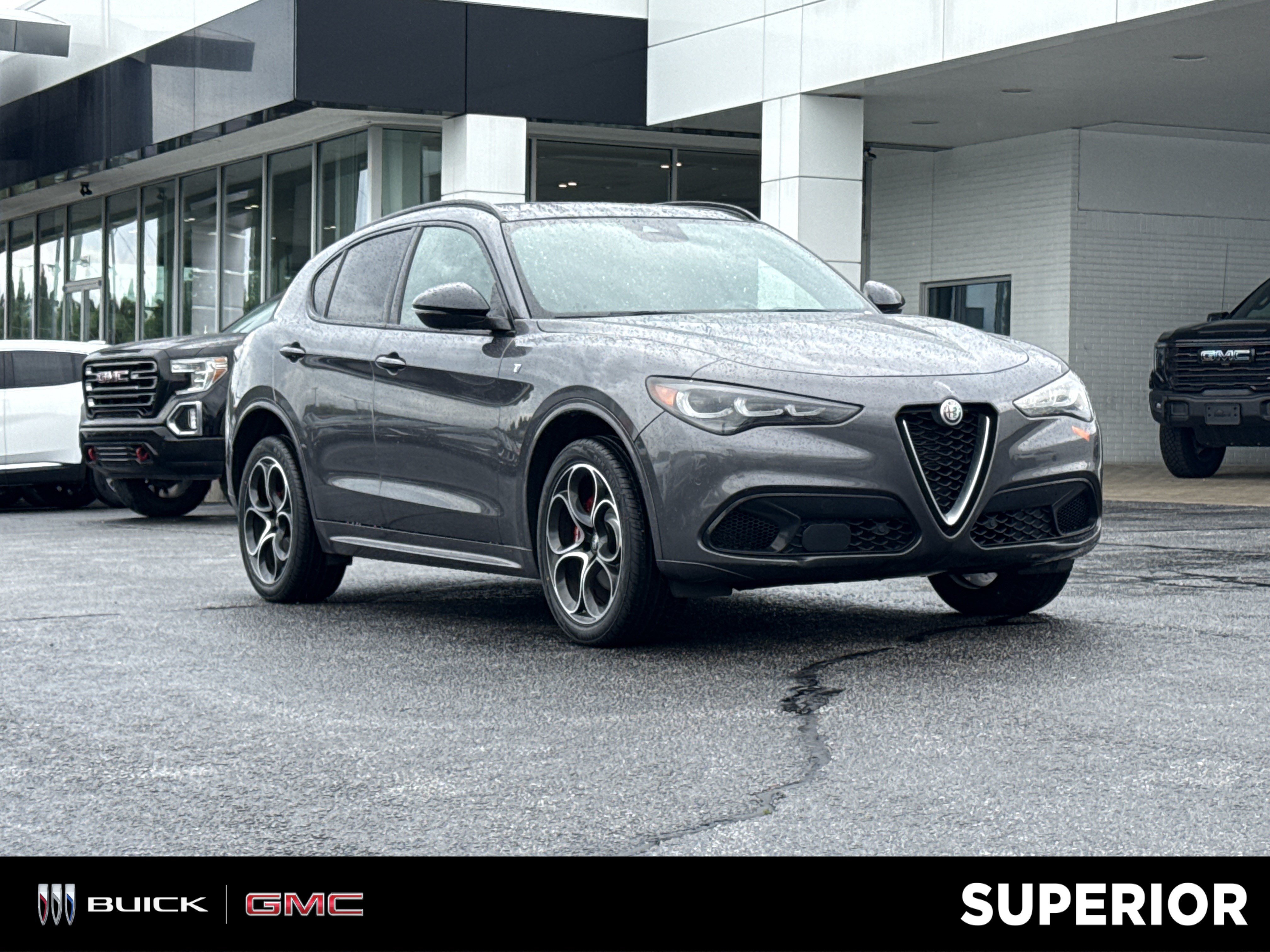 2024 Alfa Romeo Stelvio Ti AWD's photo