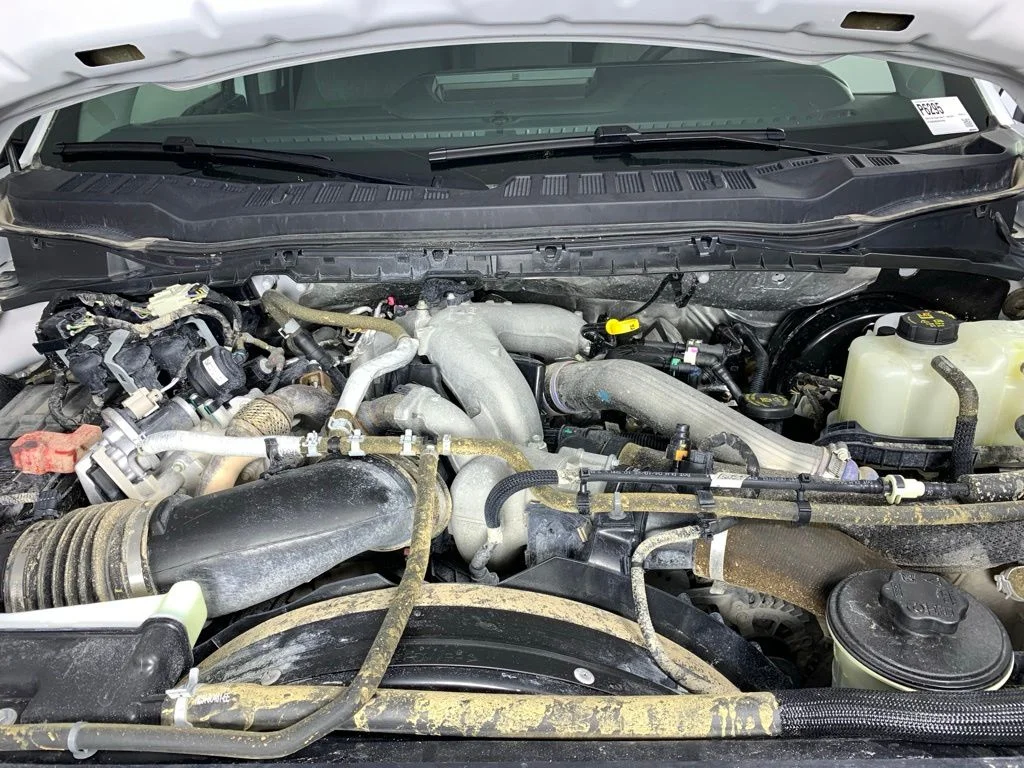 Used 2025 White Ford XLT image 26