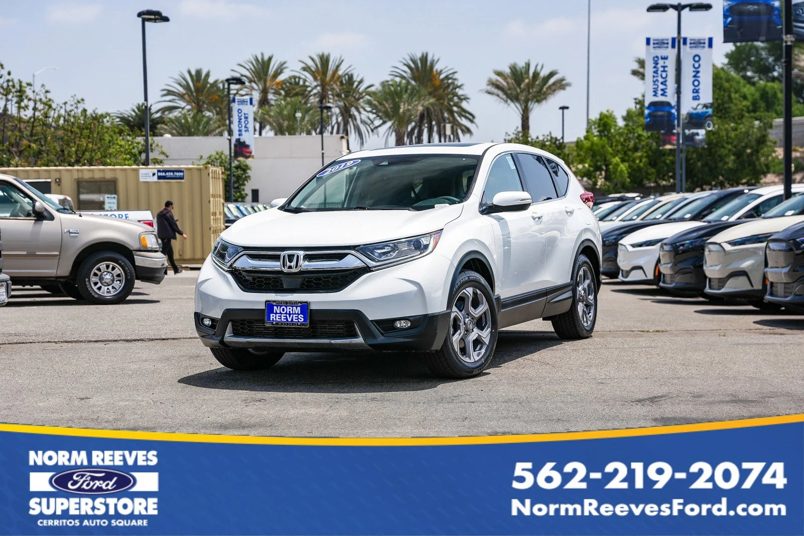 2019 Honda CR-V EX 2WD's photo